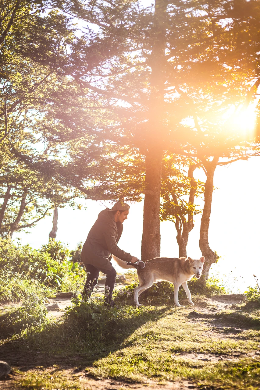 Outdoor — photographie 17