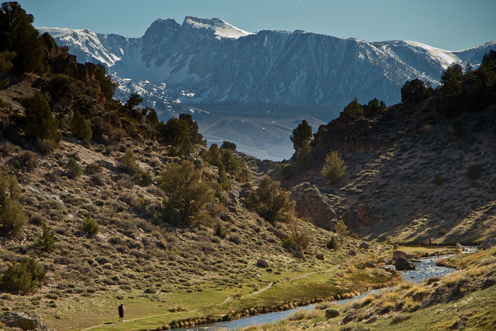 Mammoth