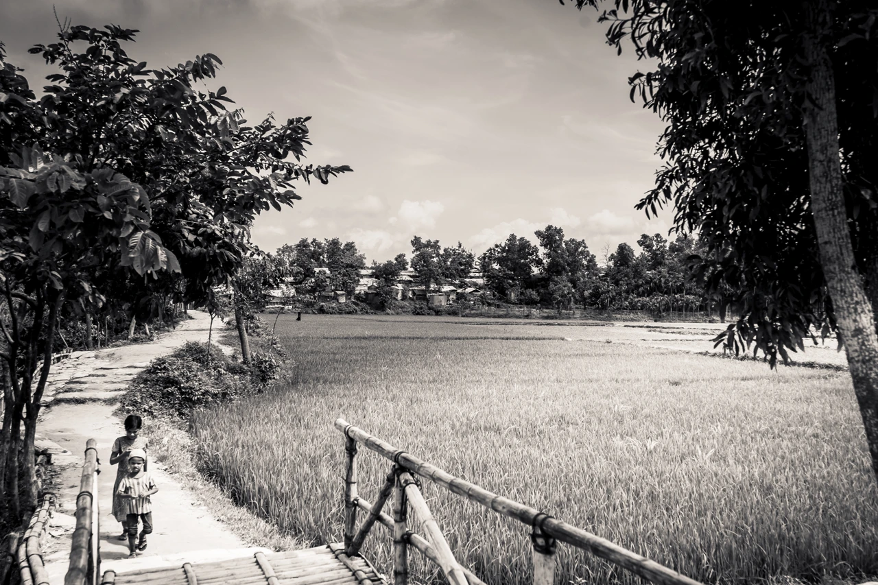 Rohingya Refugees — 12